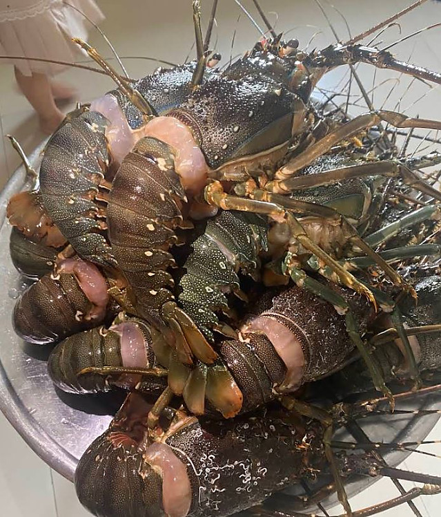 [호이안] 다낭 호이안 SEAFOOD 맛집