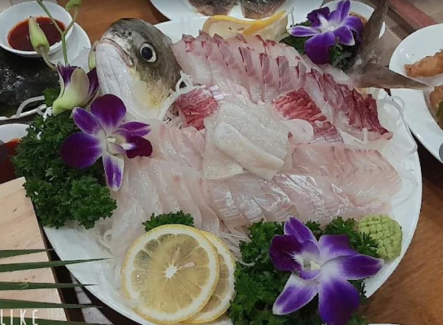 [나트랑] 나트랑 킴 스시Nha Trang Kim Sushi (구)압구정포차