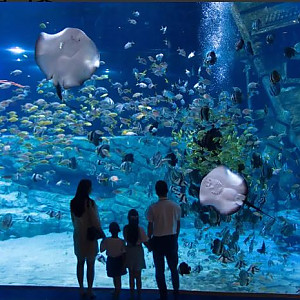 하노이 롯데월드 아쿠아리움