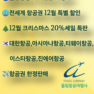 전세계 항공권 티켓 전문업체 듈립항공