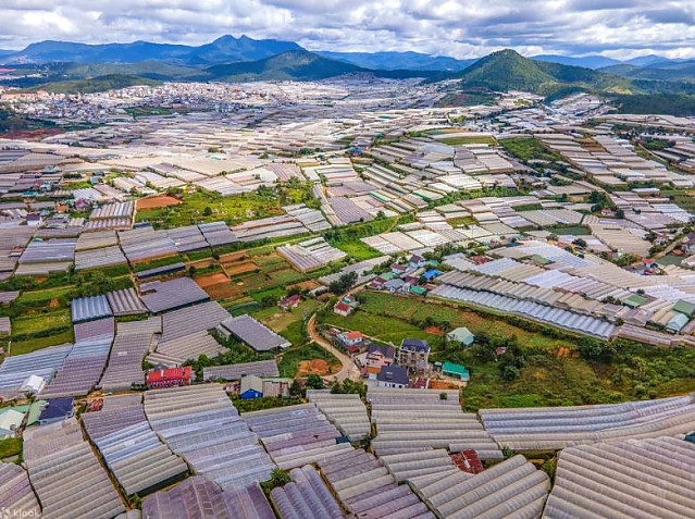 [달랏 무이네] 2일간의 달랏 출발 무이네 오토바이 투어