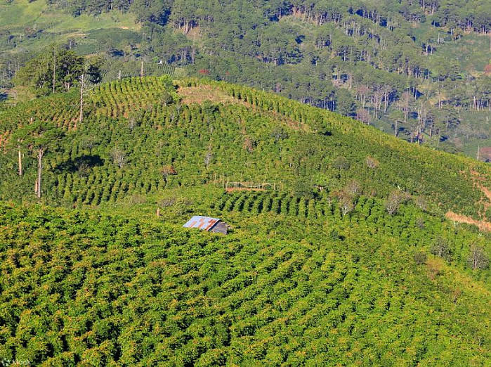 [달랏 무이네] 2일간의 달랏 출발 무이네 오토바이 투어