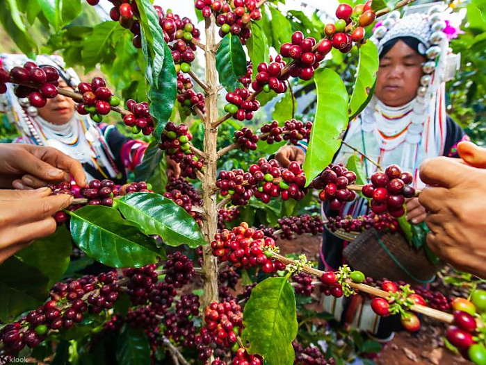 [달랏 무이네] 2일간의 달랏 출발 무이네 오토바이 투어