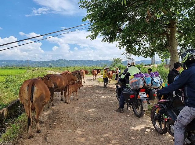 [달랏 무이네] 2일간의 달랏 출발 무이네 오토바이 투어