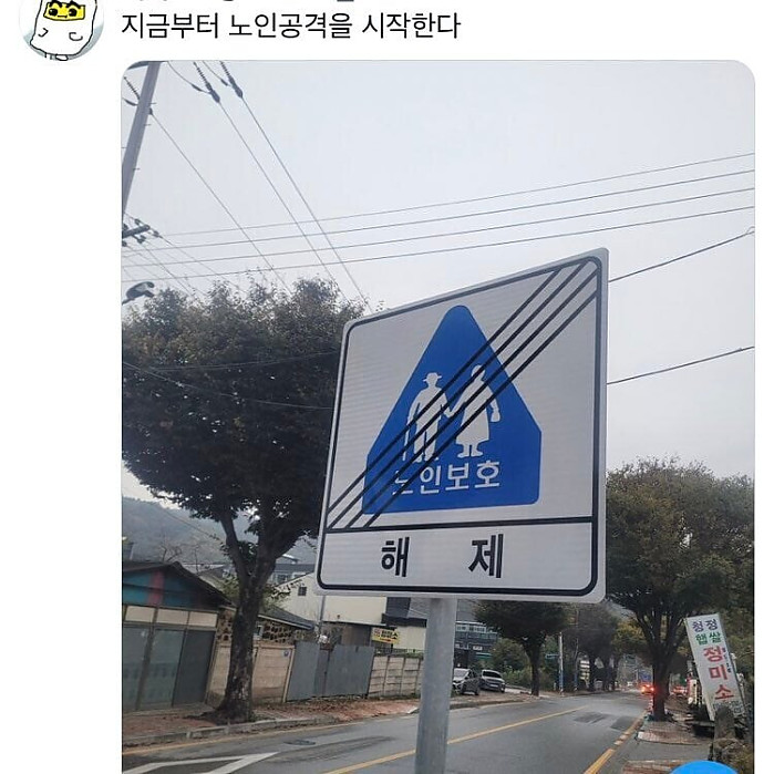 노인보호를 해제합니다