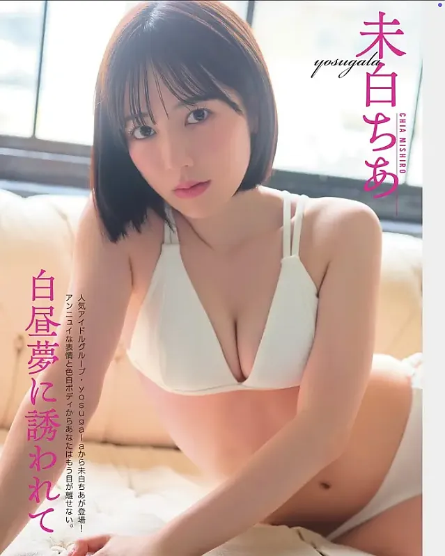 치아 미시로 플래시 2025년 11일호