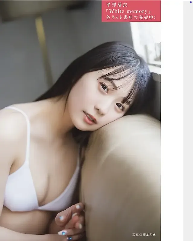 FLASH 디지털 사진집의 명작