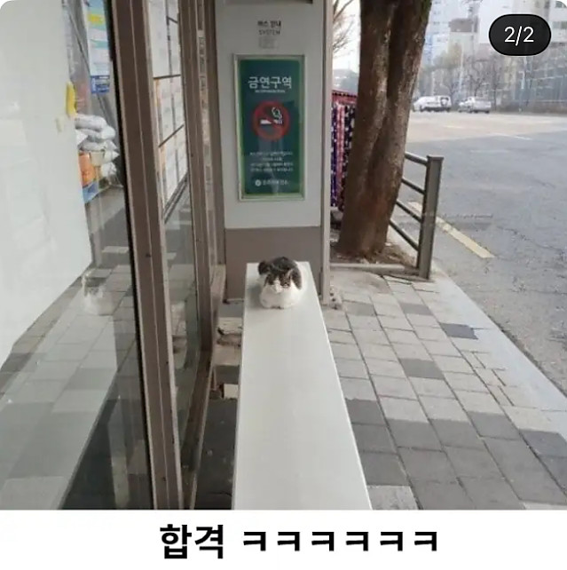 버스정류장 발열의자 성능검증