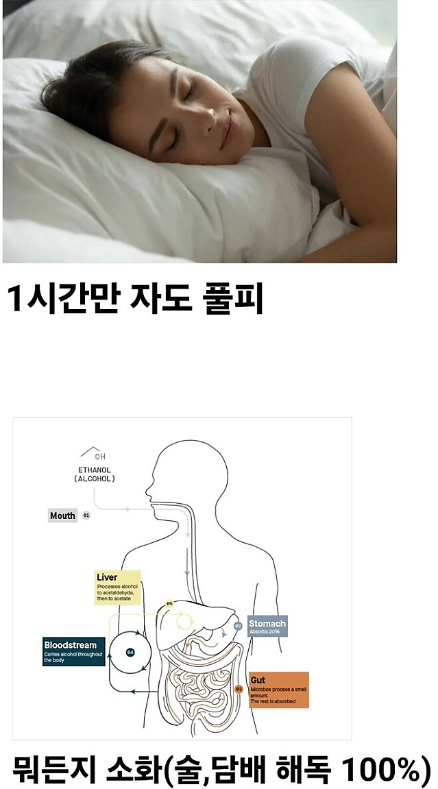 사회인들이 탐내한다는 두가지 육체 능력중 선택은?