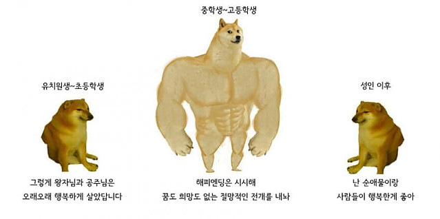 취향의 변화