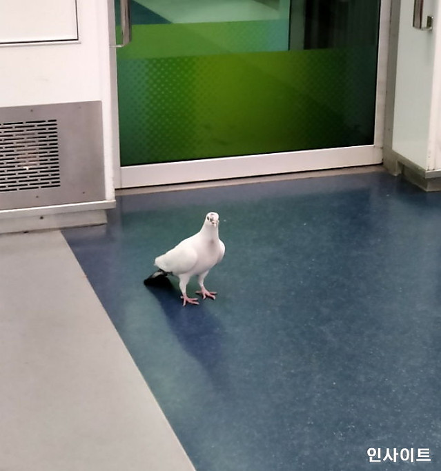 모험과 낭만이 넘치는 1호선 던전과 용사들