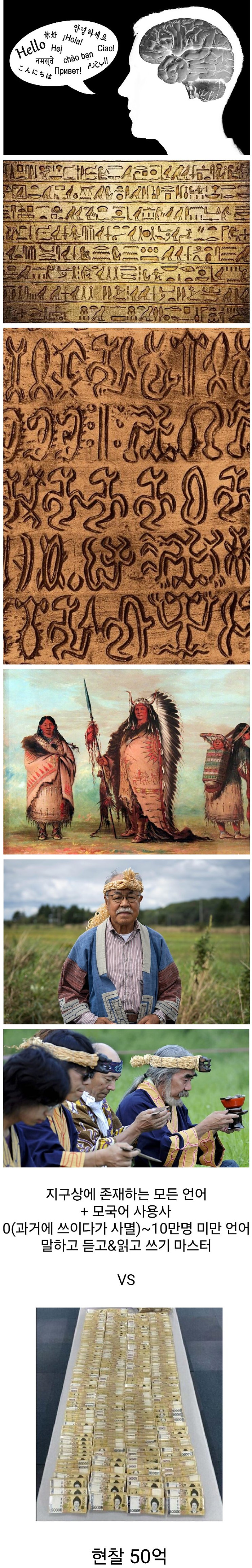 모든 언어 마스터 vs 현찰 50억