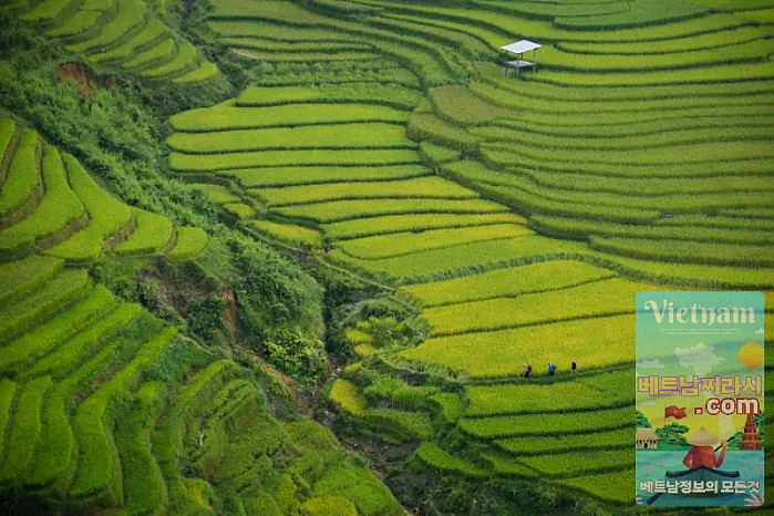 베트남 여행 추천 지역부터 건기 우기 총정리