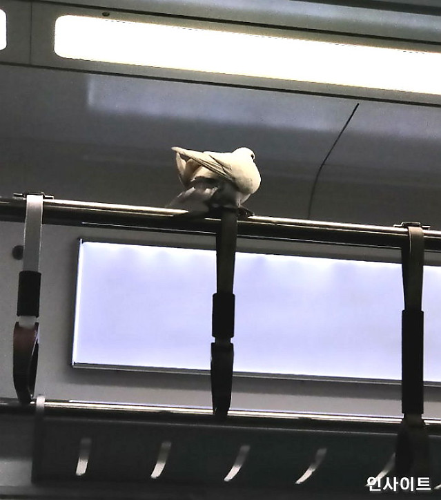 모험과 낭만이 넘치는 1호선 던전과 용사들