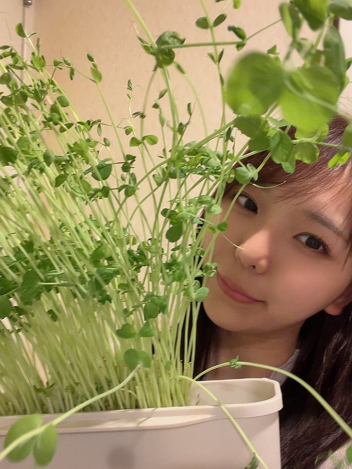 6월 큰거 온다는 육덕 1티어 AV 배우