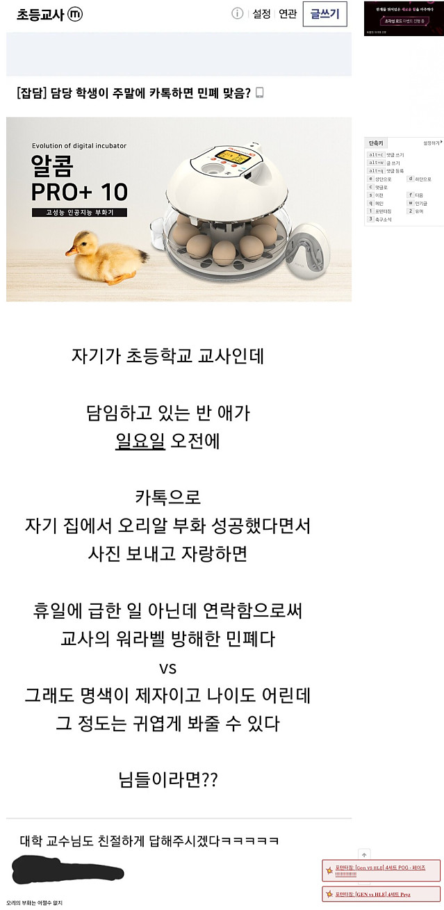 일요일인데 담임에게 카톡 보낸 초등학생