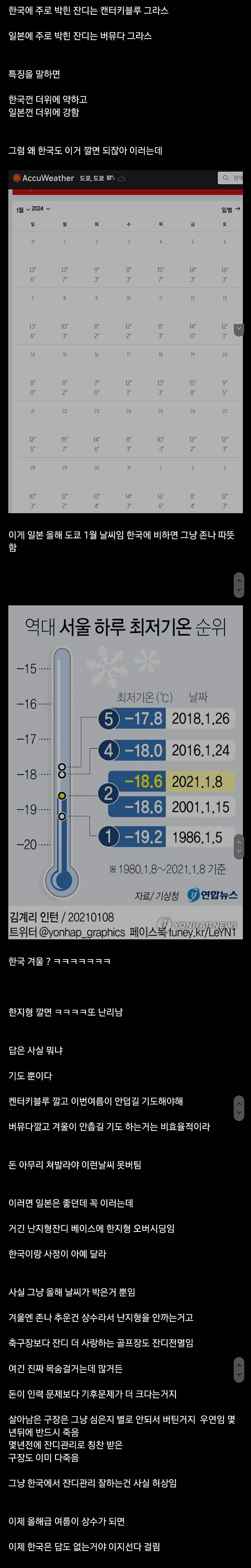 한국 잔디가 답이 없는 근본적인이유