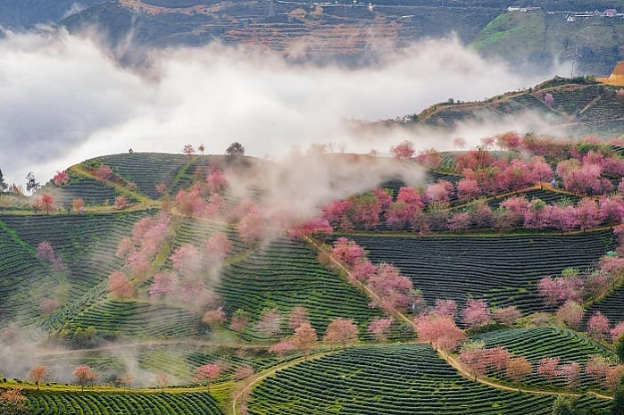 완벽한 베트남 여행을 위해 알아야 할 것들