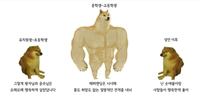 나이먹으면 바뀌는 성향.