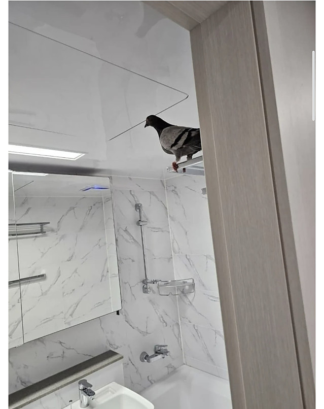 신축 아파트 하자 근황