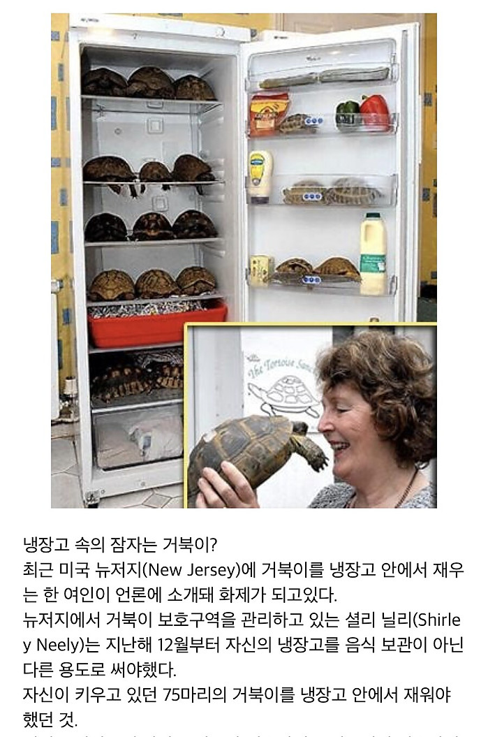 의외로 냉장고로 할 수 있는 것