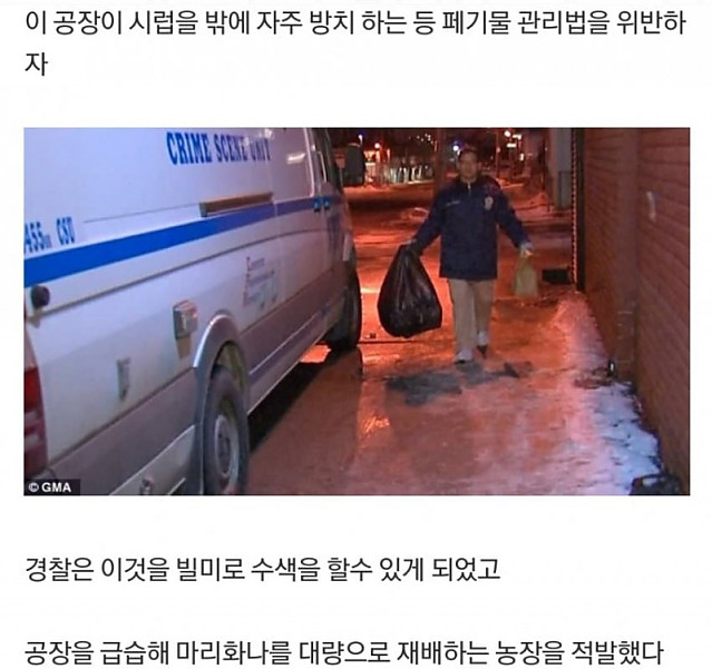 약혐) 벌이 빨간 꿀을 생산하자 실체가 드러난 범죄공장 (수정)