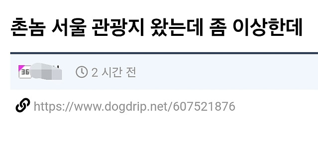 서울관광와서 실망한 사람