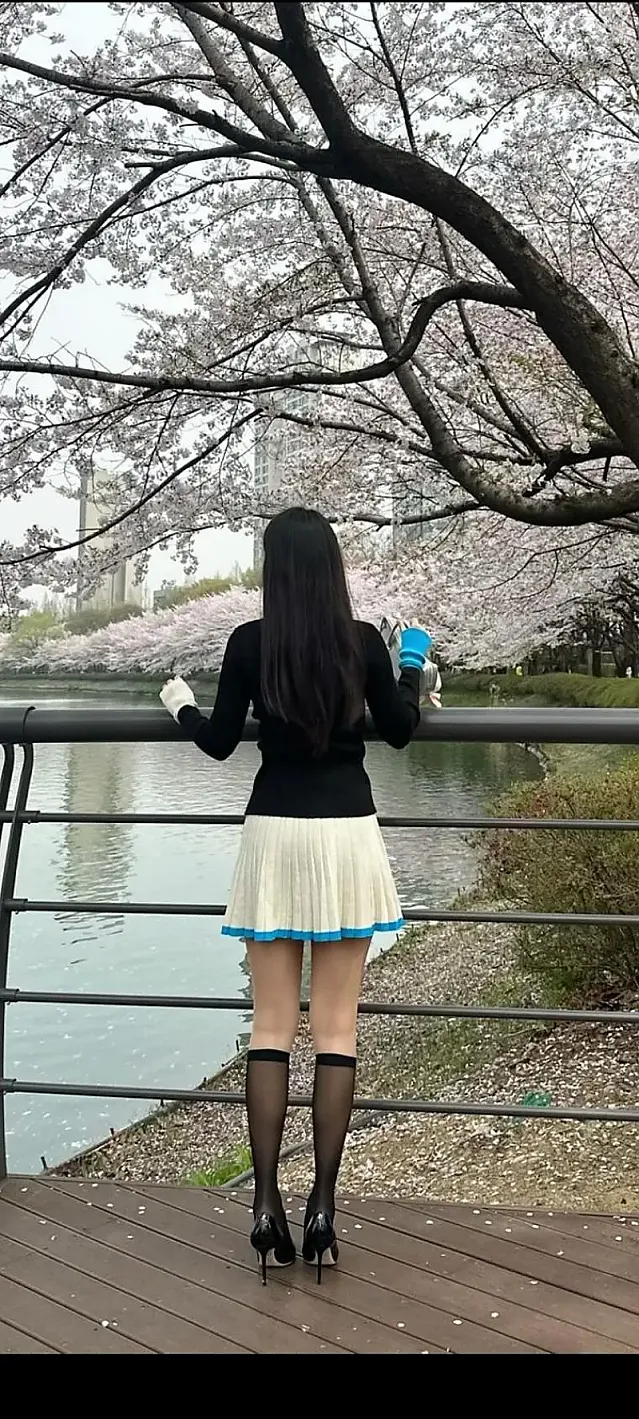 인플로언서 모음