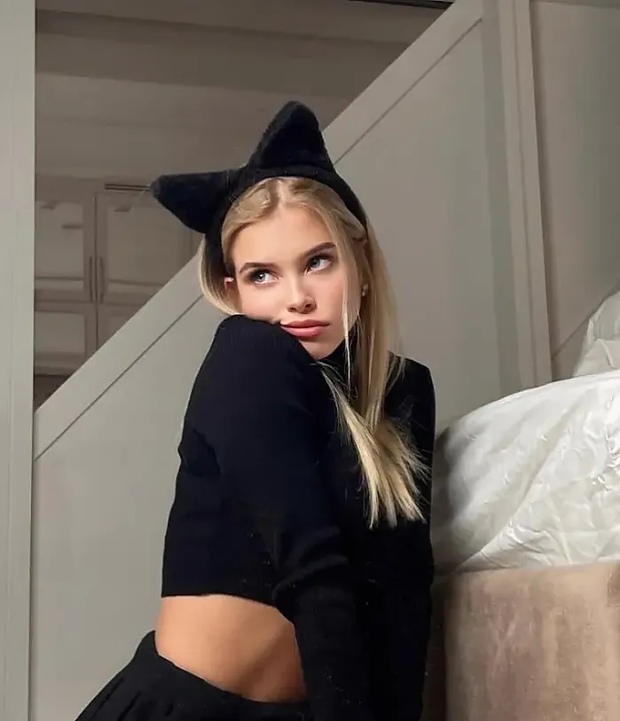 가슴 큰 요염한 고양이상