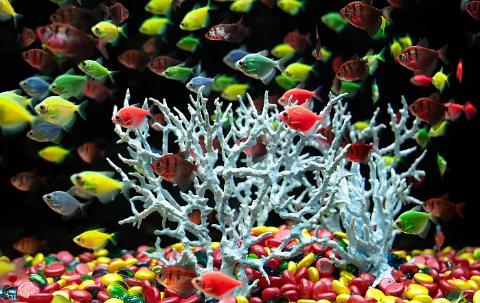 하노이 롯데월드 아쿠아리움