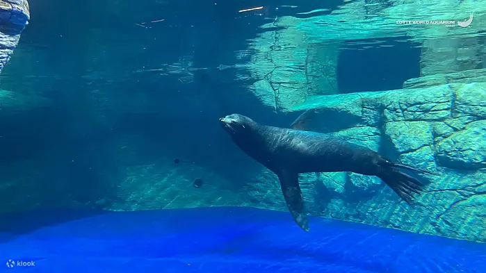 하노이 롯데월드 아쿠아리움