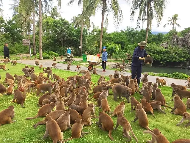[나트랑] 나트랑 원숭이섬 몽키아일랜드