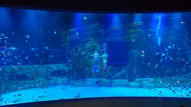 하노이 롯데월드 아쿠아리움