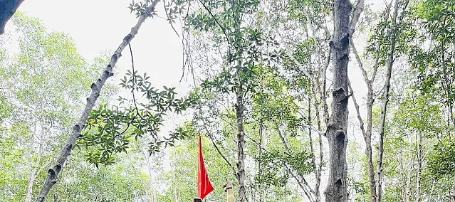 껀저 생물권 보전지역 원숭이섬 투어