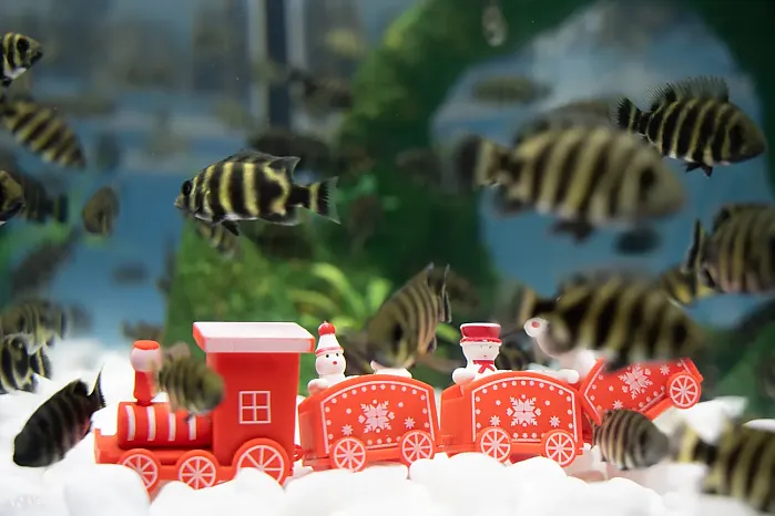 하노이 롯데월드 아쿠아리움