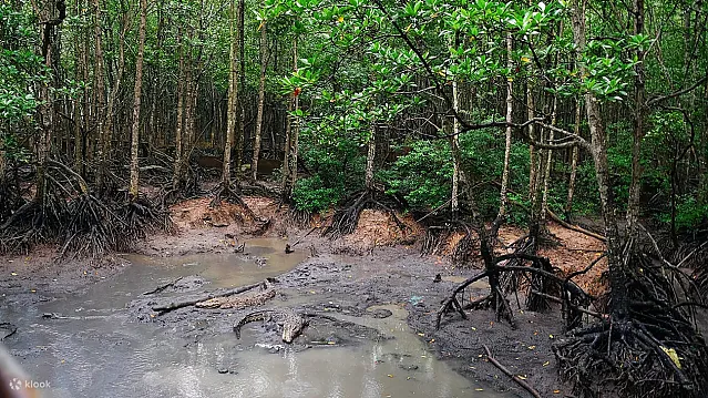 껀저 생물권 보전지역 원숭이섬 투어