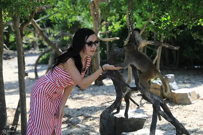 [나트랑] 나트랑 원숭이섬 몽키아일랜드