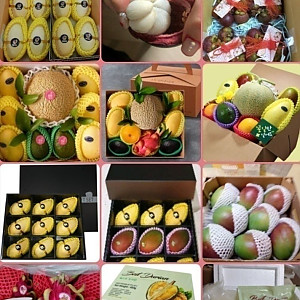 싱싱과일 베트남 열대과일 한국배송 (베트남/한국전지역)