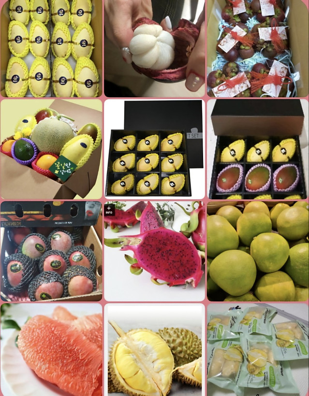 열대과일 한국배송