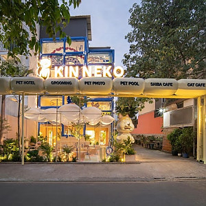 마메 애견 카페(2군)