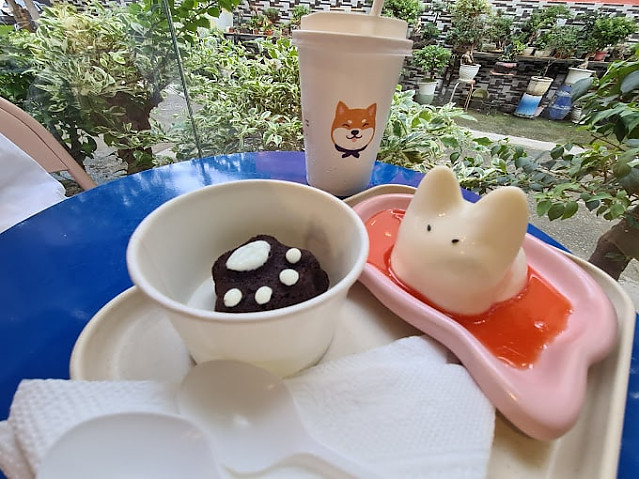 마메 애견 카페(2군)