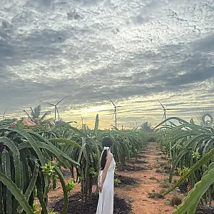 베트남 투어 찾다 우연히 왔는데 넘 예쁘셔서용 instagram for hyo_ohhh