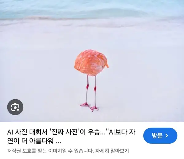 하지 말라는 짓은 꼭 해보고 싶은 것이 인간의 본성