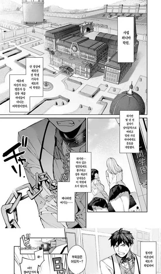 순혈소녀와 잡종견