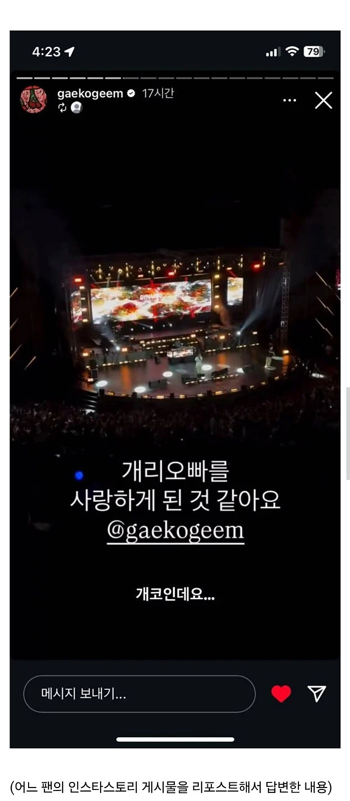 개코 공연 후기