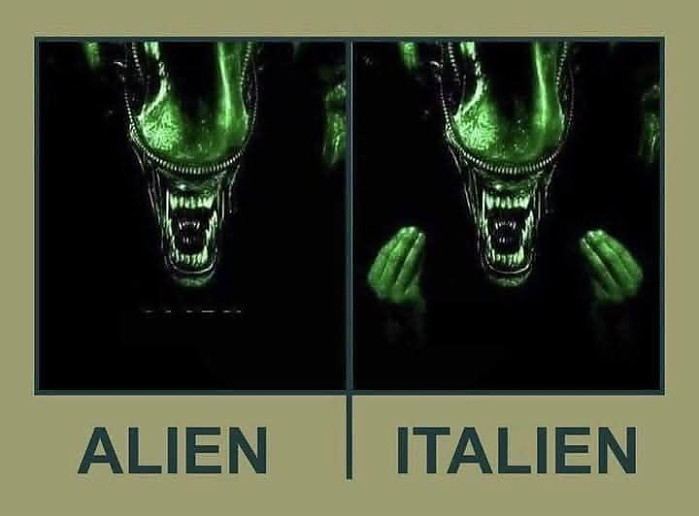 일반적인 에일리언과 이태리 에일리언
